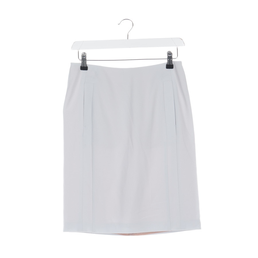 Image 1 of Skirt 34 Lightgray in color Gray | Vite EnVogue