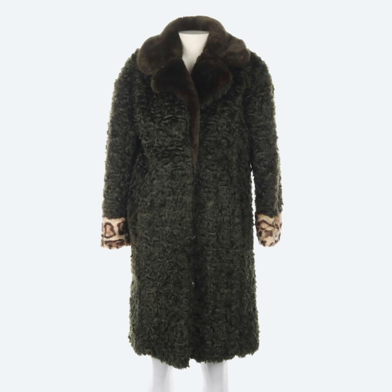 Image 1 of Winter Coat 36 Darkgreen in color Green | Vite EnVogue