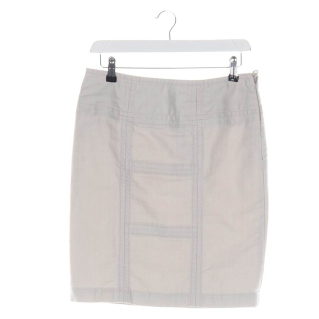 Image 1 of Skirt 34 Light Gray | Vite EnVogue