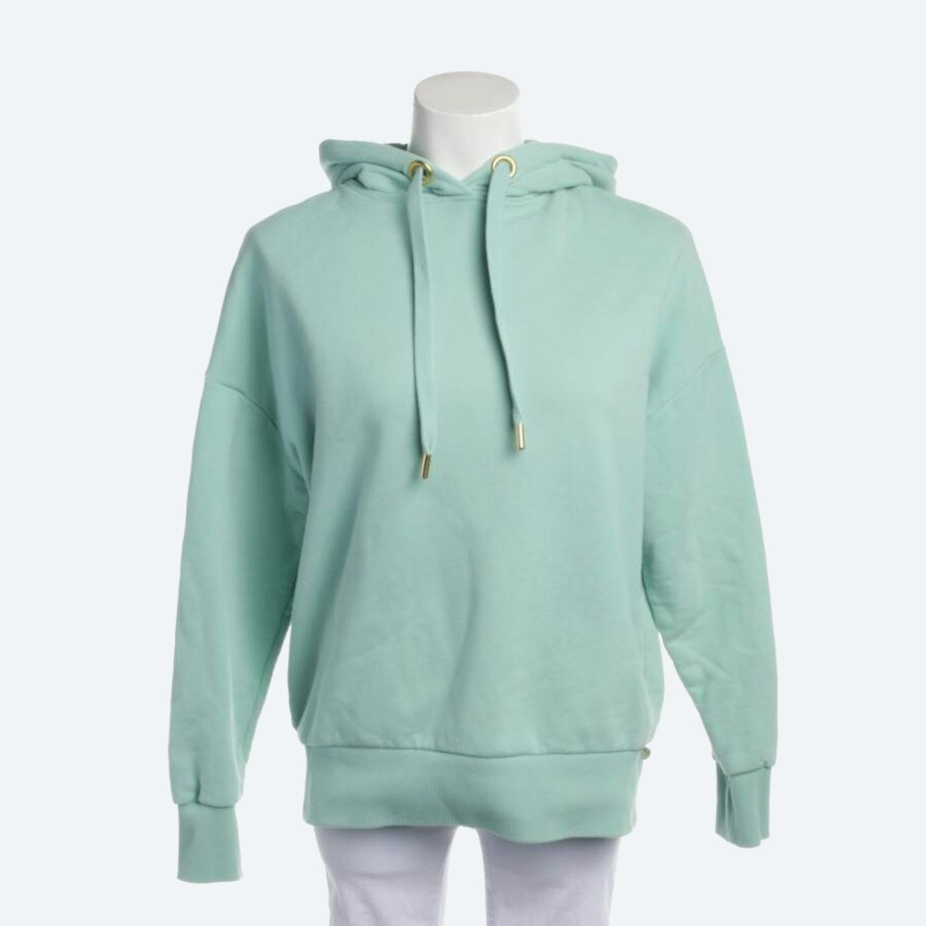 Image 1 of Hooded Sweatshirt XS Pastel green in color Green | Vite EnVogue