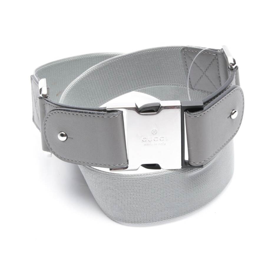 Image 1 of Belt Gray in color Gray | Vite EnVogue