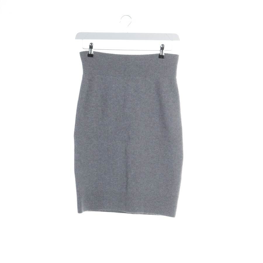 Image 1 of Skirt XL Light Gray in color Gray | Vite EnVogue