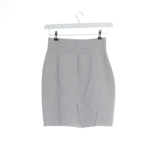 Skirt 40 Light Gray | Vite EnVogue