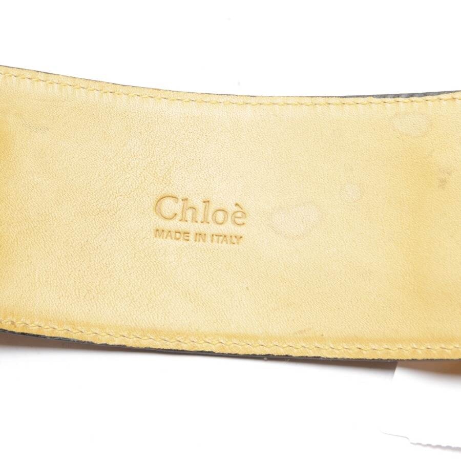 Image 3 of Belt Mustard Yellow in color Yellow | Vite EnVogue