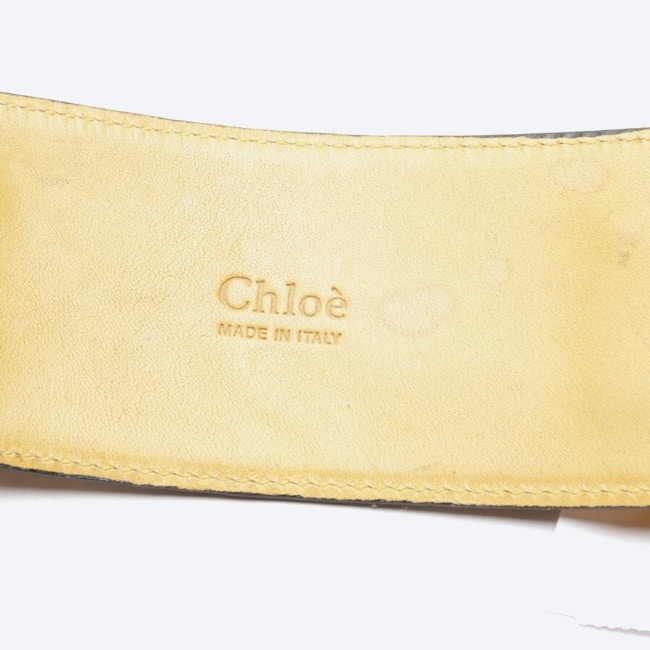Image 3 of Belt Mustard Yellow in color Yellow | Vite EnVogue