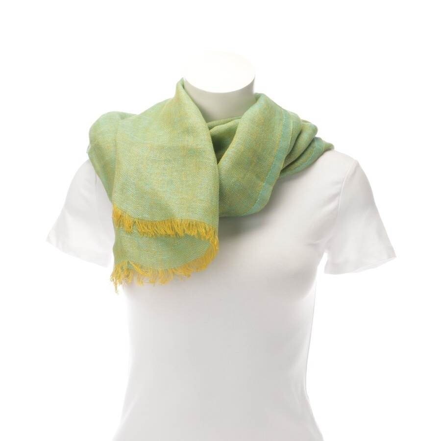Image 1 of Linen Shawl Light Green in color Green | Vite EnVogue