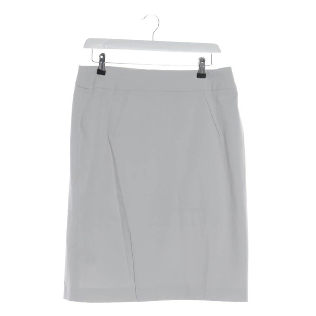 Image 1 of Skirt 42 Light Gray | Vite EnVogue