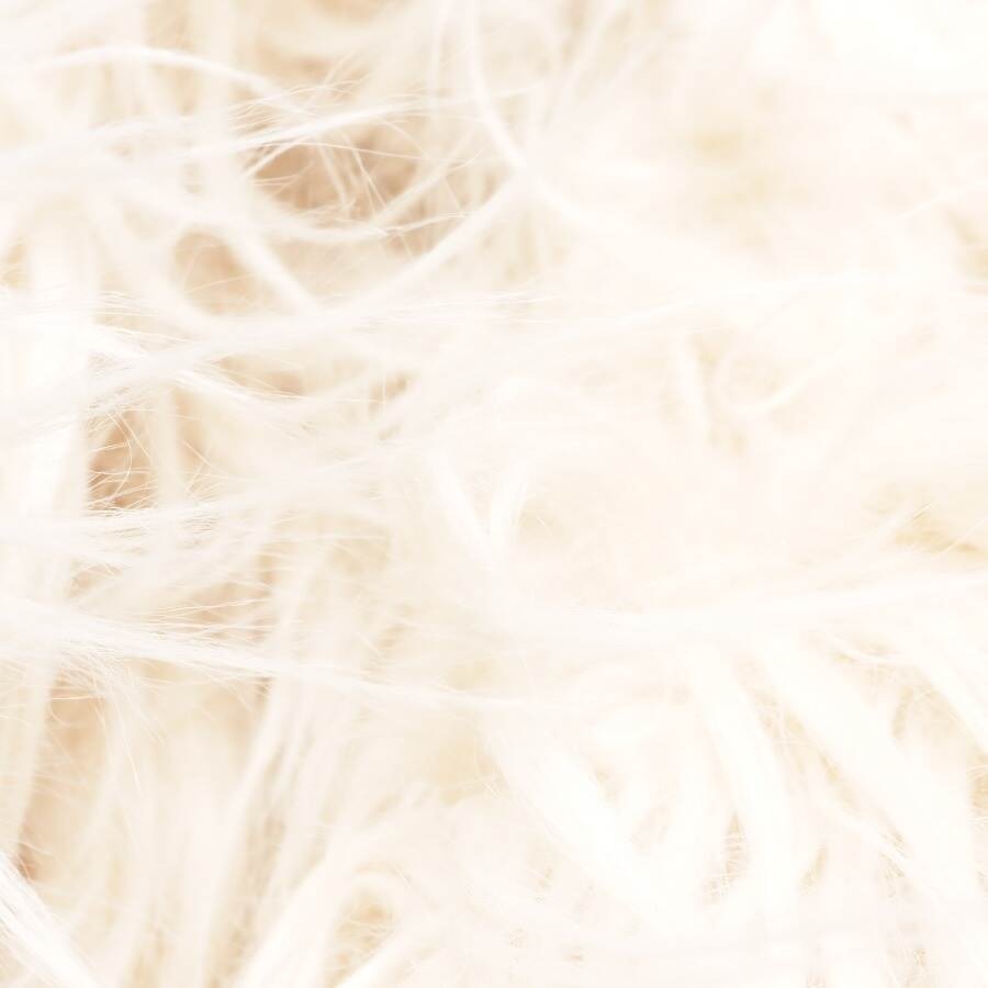 Image 3 of Vest 42 Cream in color White | Vite EnVogue