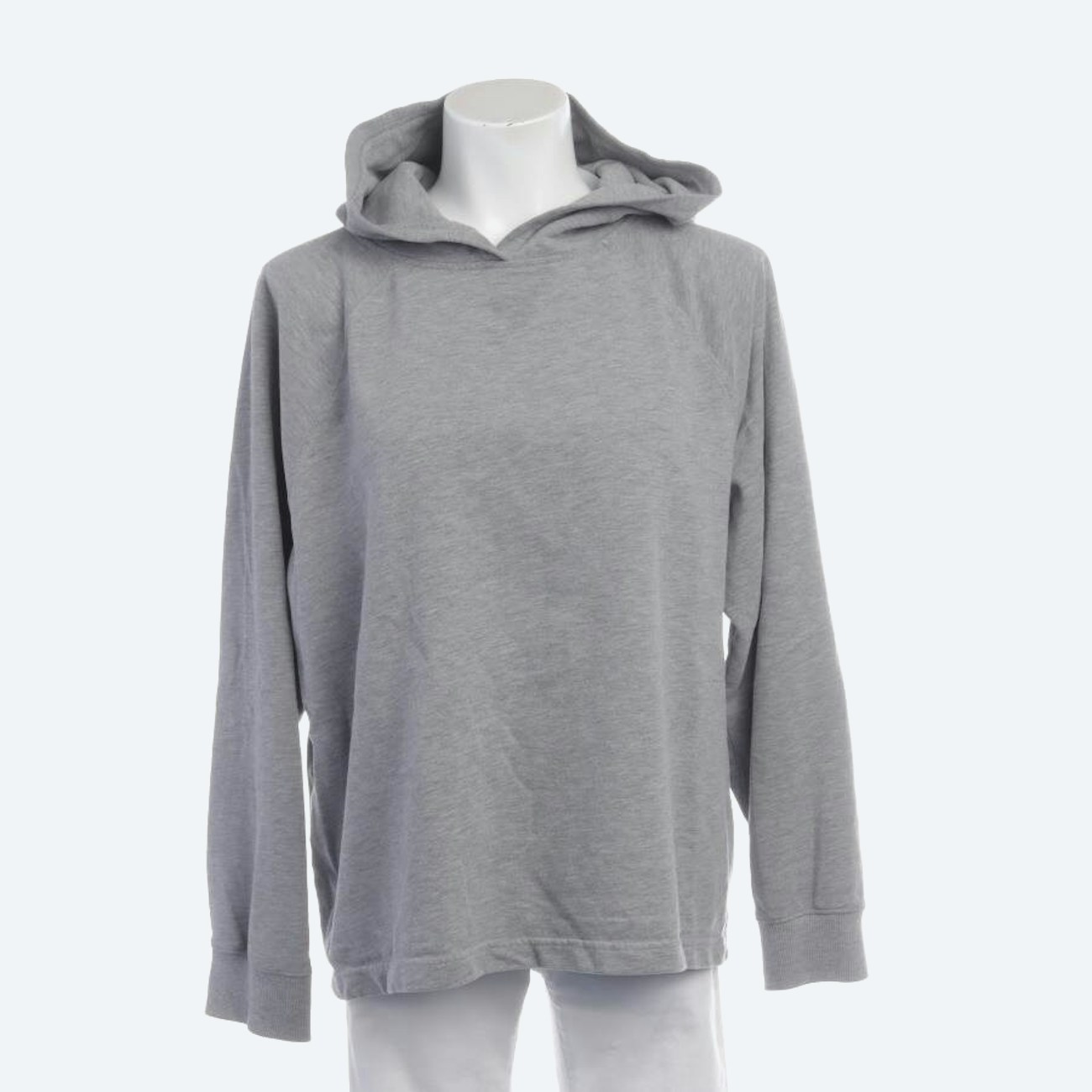 Image 1 of Hooded Sweatshirt L Gray in color Gray | Vite EnVogue