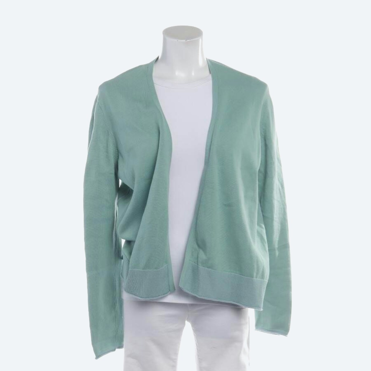 Image 1 of Cardigan 40 Light Green in color Green | Vite EnVogue
