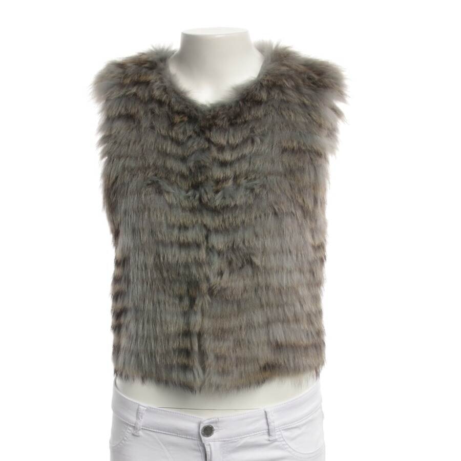 Image 1 of Fur Vest 36 Light Gray in color Gray | Vite EnVogue