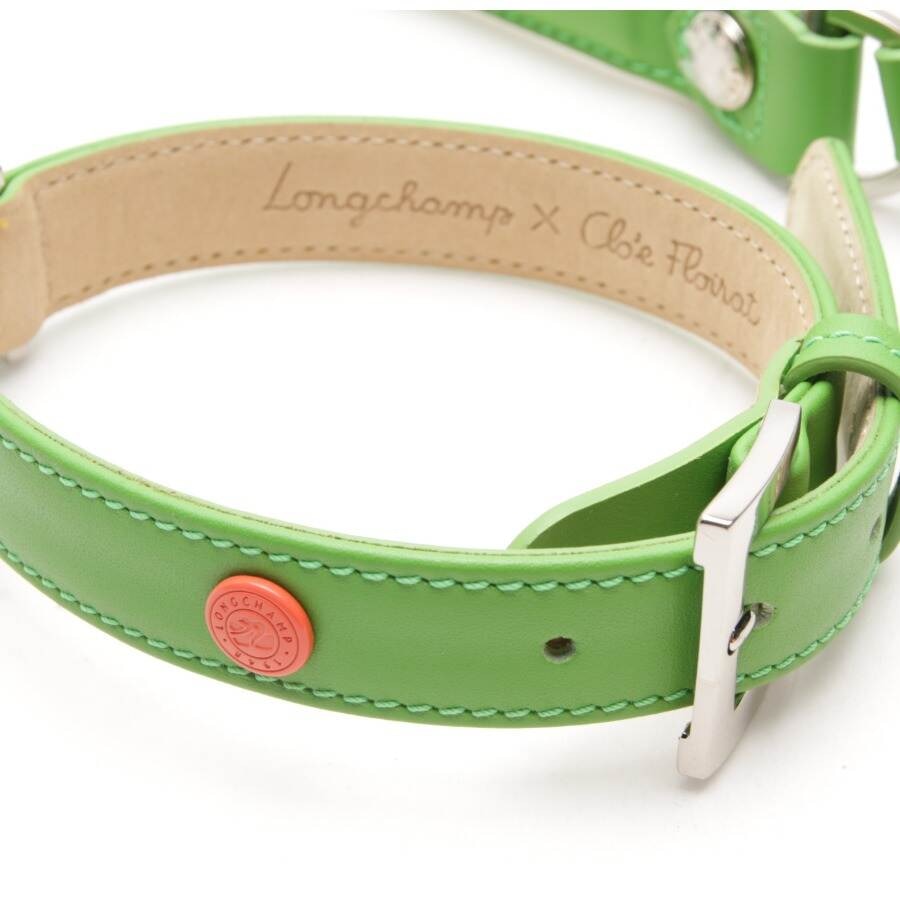 Image 2 of Dog Leash Light Green in color Green | Vite EnVogue