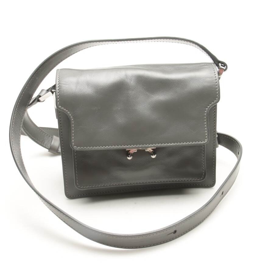Image 1 of Trunk Mini Crossbody Bag Gray in color Gray | Vite EnVogue