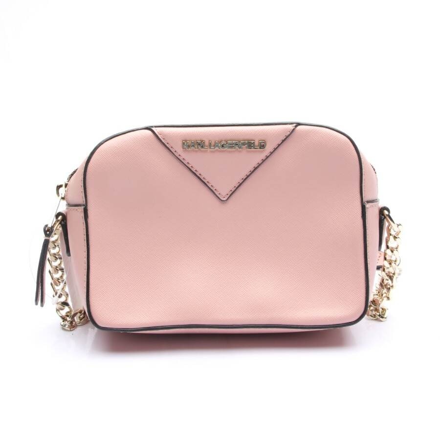 Image 1 of Crossbody Bag Light Pink in color Pink | Vite EnVogue