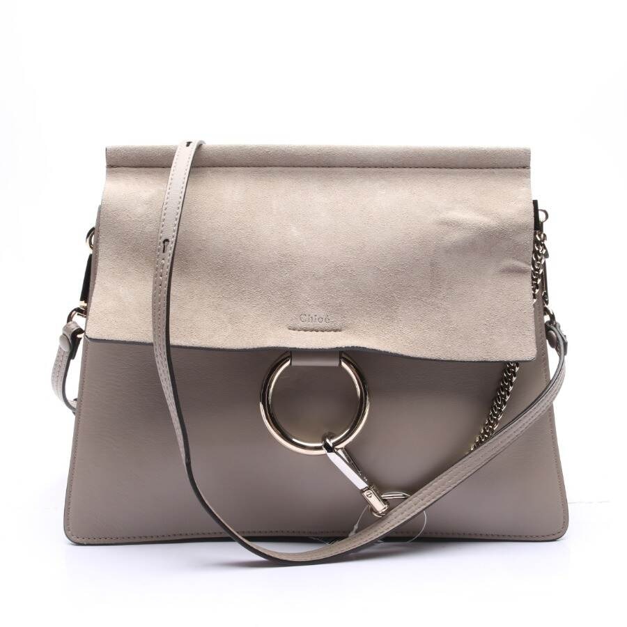 Image 1 of Faye medium Crossbody Bag Gray in color Gray | Vite EnVogue