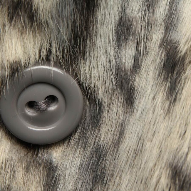 Image 4 of Fur Coat 38 Gray in color Gray | Vite EnVogue