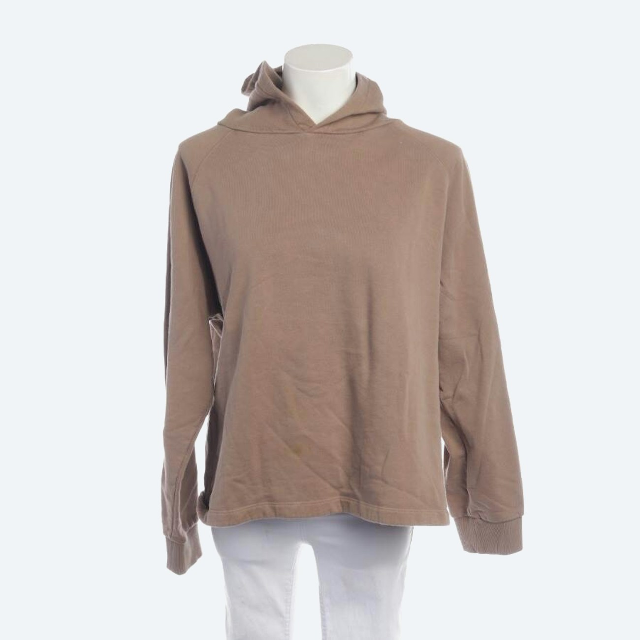 Image 1 of Hooded Sweatshirt L Brown in color Brown | Vite EnVogue