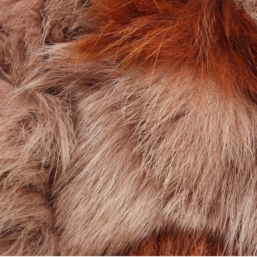Image 5 of Fur Vest 28 Multicolored in color Multicolored | Vite EnVogue