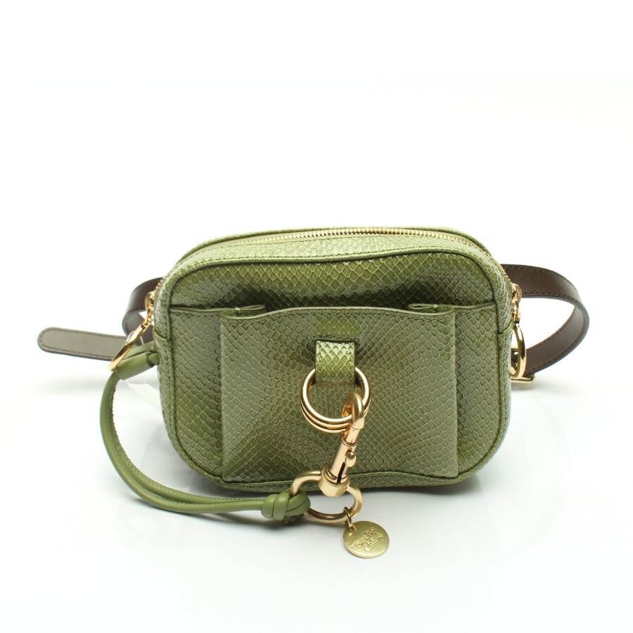 Image 1 of Belt Bag Light Green in color Green | Vite EnVogue