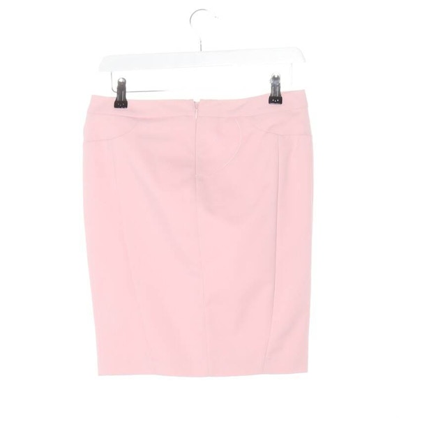 Skirt 34 Light Pink | Vite EnVogue