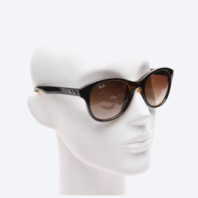 Image 2 of RB 4203 Sunglasses Brown in color Brown | Vite EnVogue