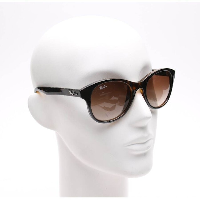 RB 4203 Sunglasses Brown | Vite EnVogue