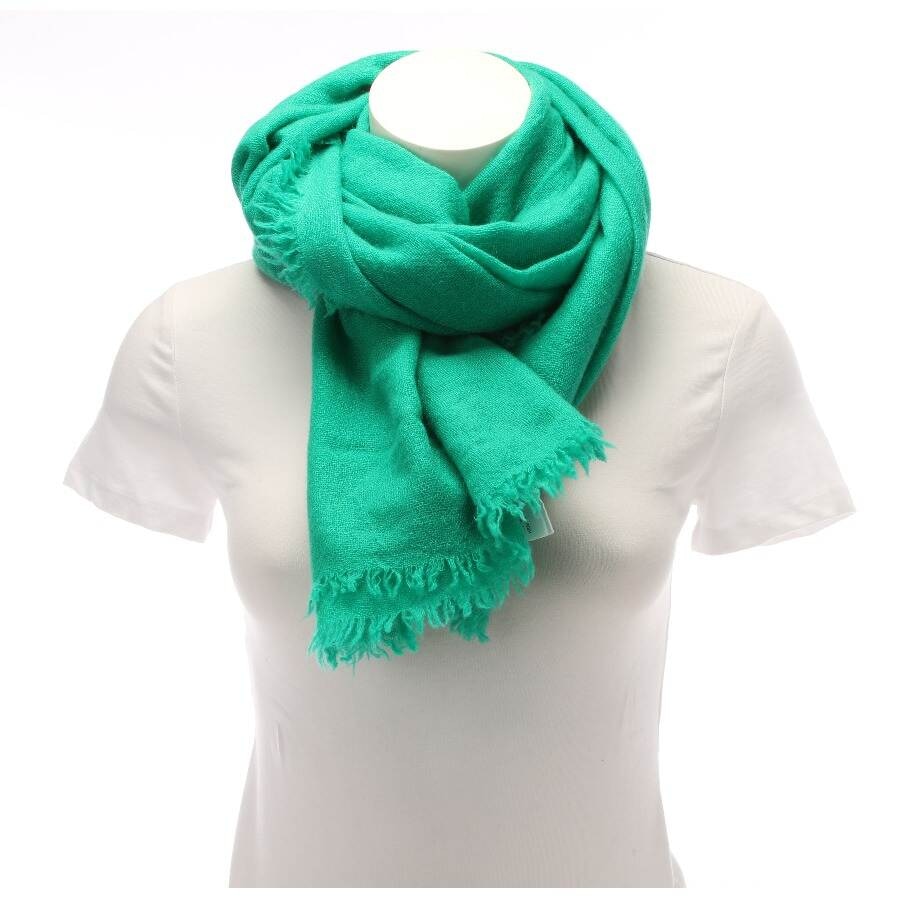 Image 1 of Cashmere Shawl Green in color Green | Vite EnVogue