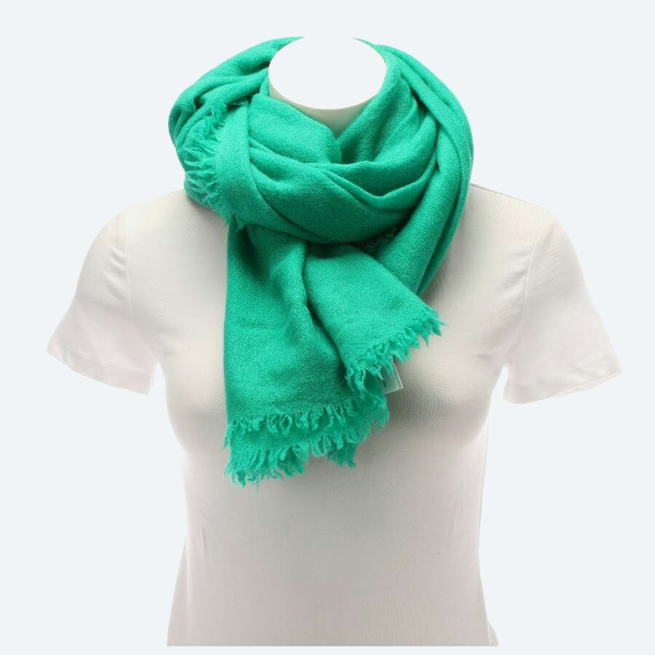 Image 1 of Cashmere Shawl Green in color Green | Vite EnVogue