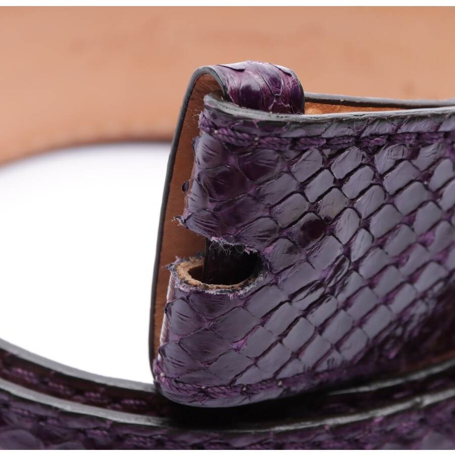 Image 2 of Belt Purple in color Purple | Vite EnVogue