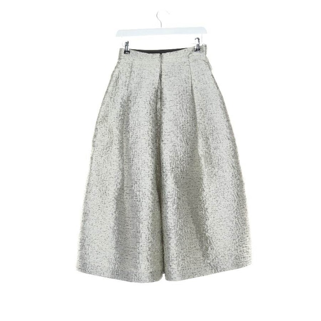 Skirt 34 Silver | Vite EnVogue