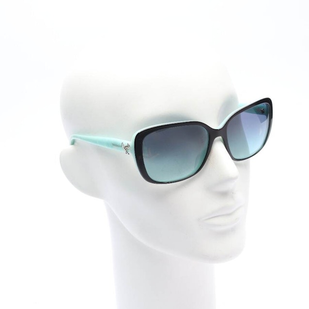 TF4092 Sunglasses Black | Vite EnVogue