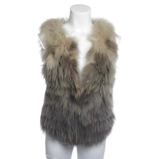 Image 1 of Fur Vest 36 Multicolored | Vite EnVogue
