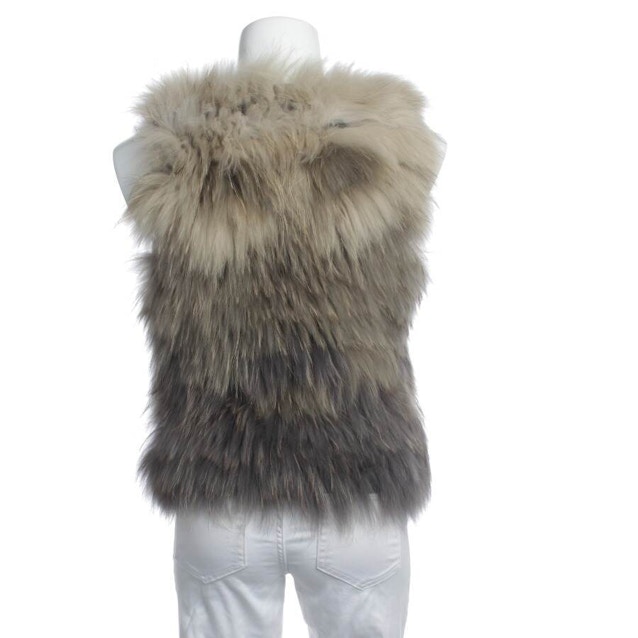 Fur Vest 36 Multicolored | Vite EnVogue