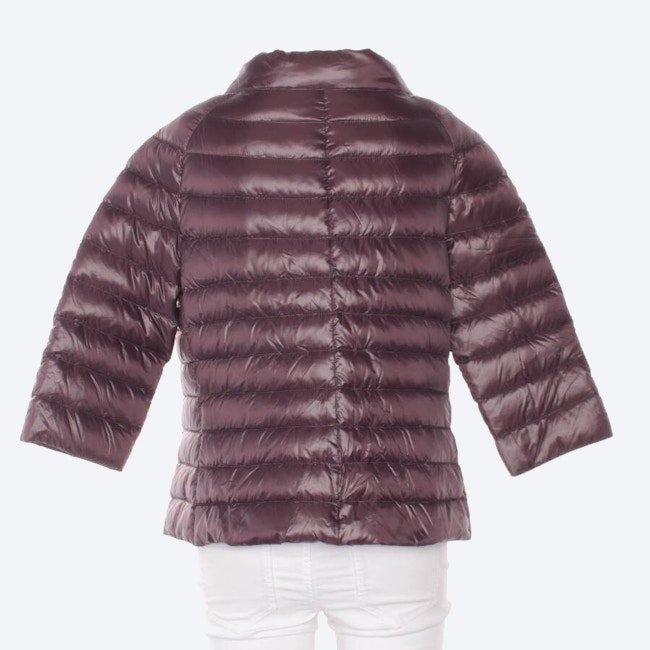 Image 2 of Quilted Jacket 42 Bordeaux in color Red | Vite EnVogue