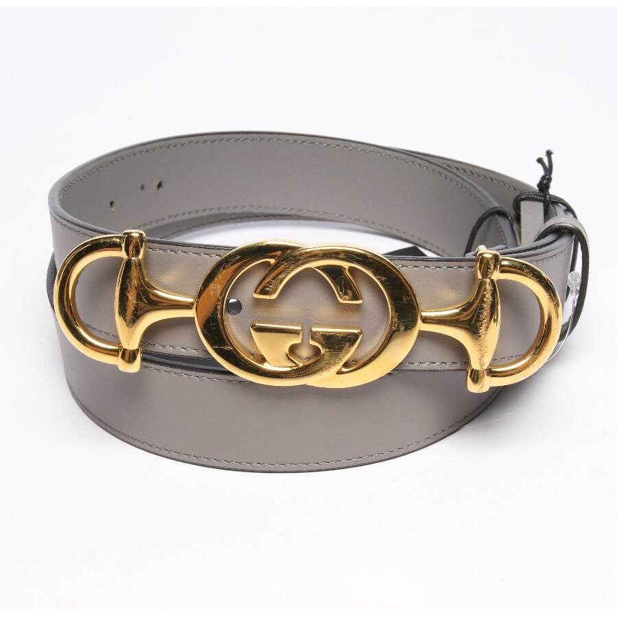 Image 1 of Belt Gray in color Gray | Vite EnVogue