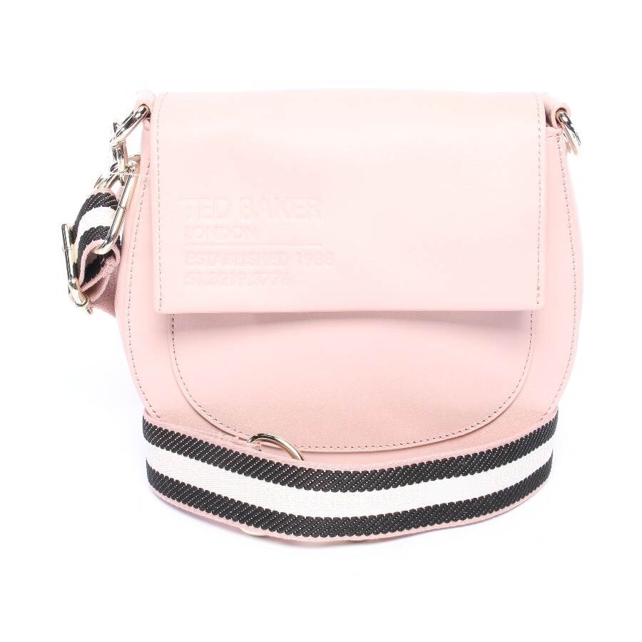 Image 1 of Crossbody Bag Light Pink in color Pink | Vite EnVogue