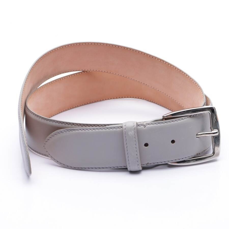 Image 1 of Belt Gray in color Gray | Vite EnVogue