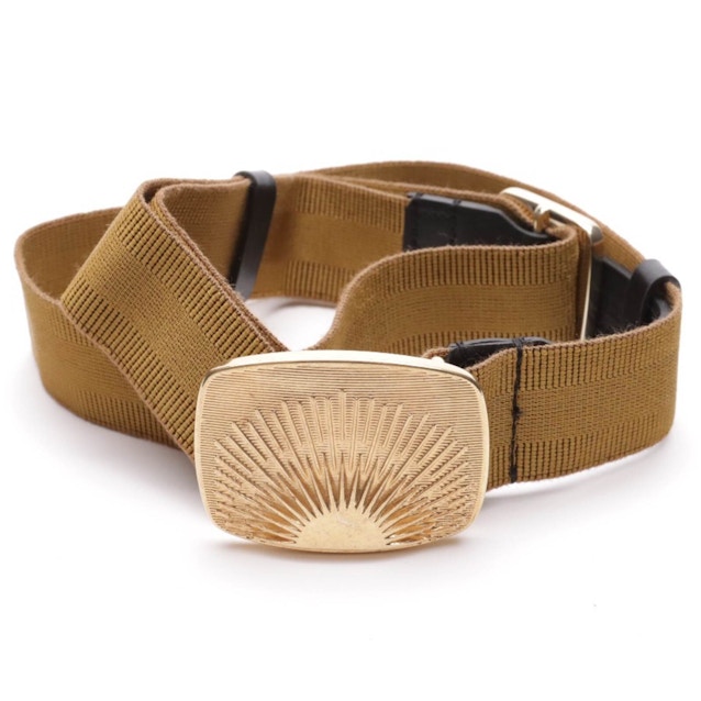 Image 1 of Belt Gold | Vite EnVogue