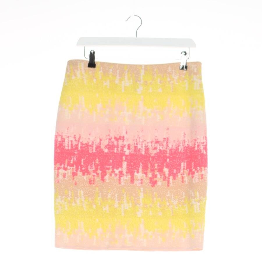 Image 1 of Skirt 40 Multicolored in color Multicolored | Vite EnVogue