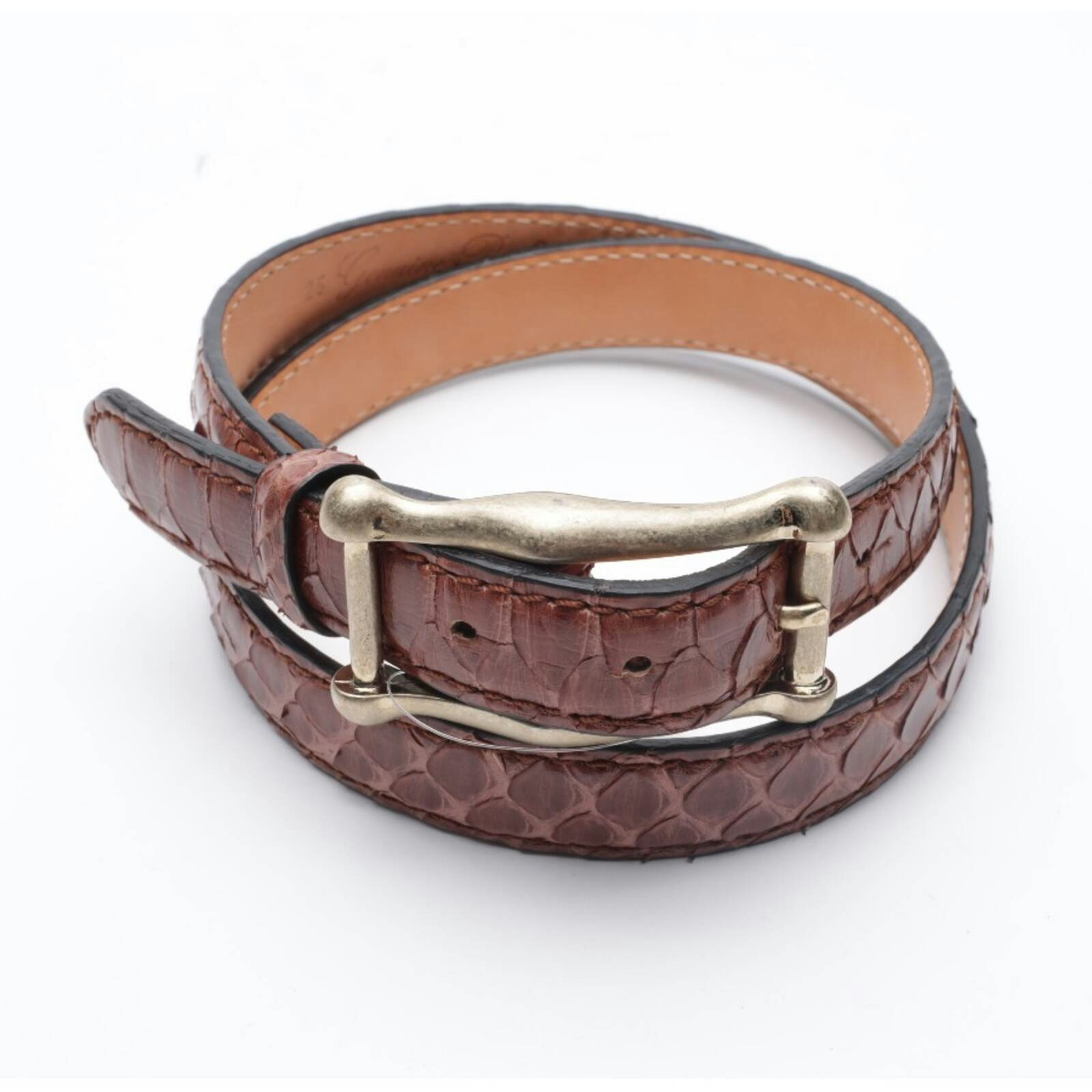 Image 1 of Belt Brown in color Brown | Vite EnVogue