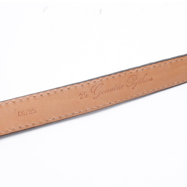 Belt Brown | Vite EnVogue