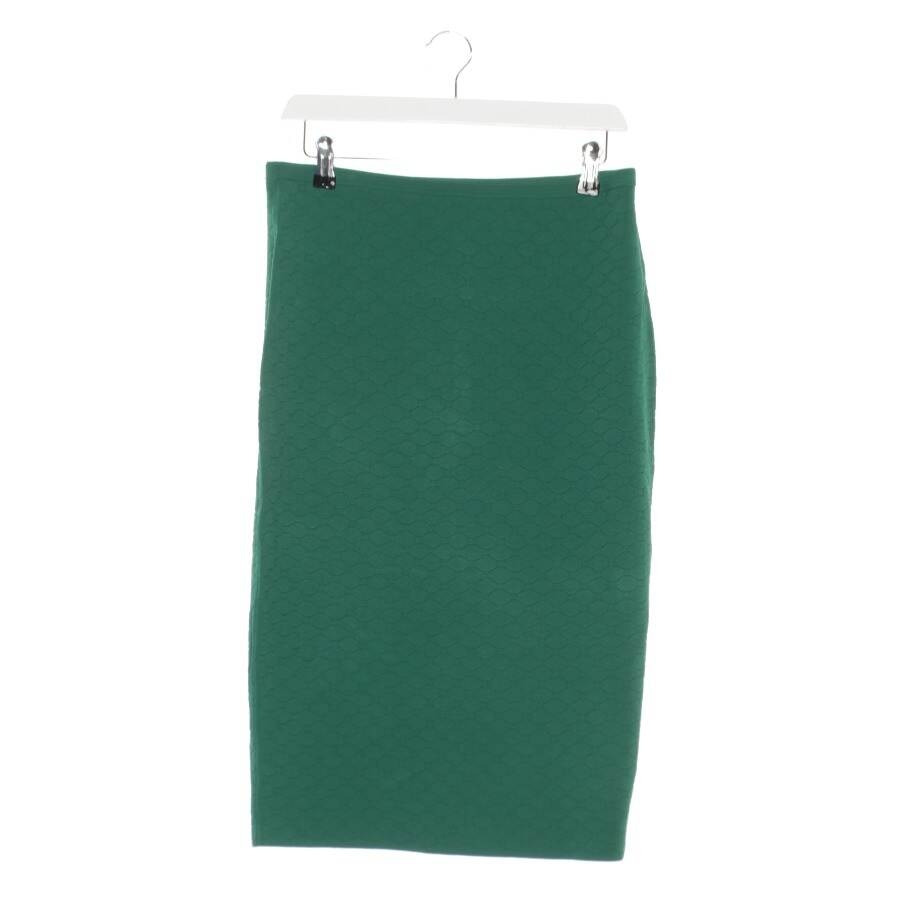 Image 1 of Skirt M Green in color Green | Vite EnVogue