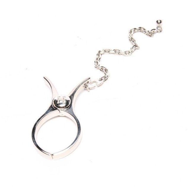 Image 1 of Keyring Silver | Vite EnVogue