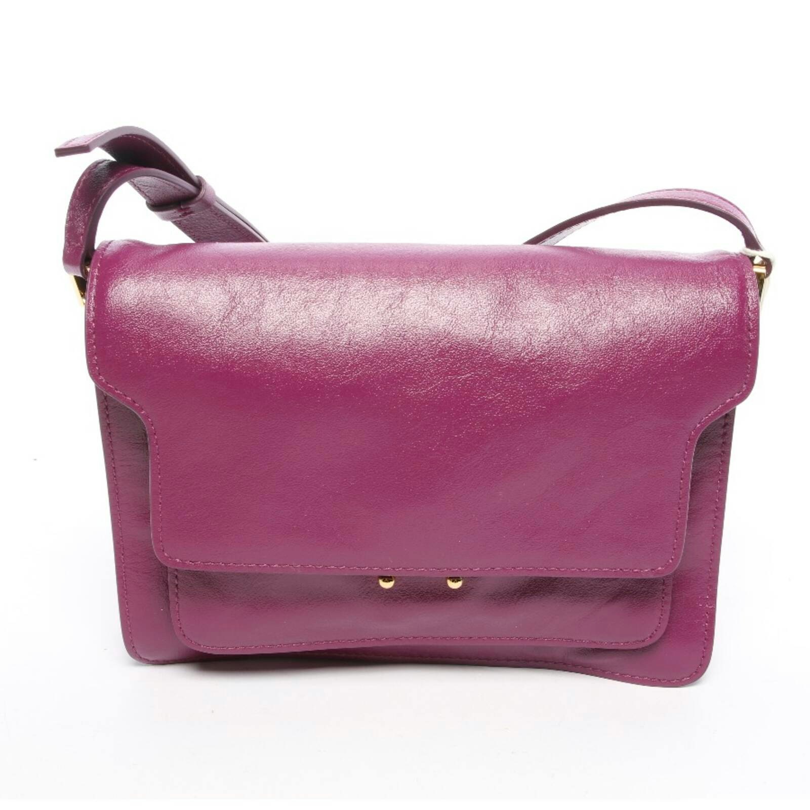 Image 1 of Trunk Medium Cross Body Bag Purple in color Purple | Vite EnVogue