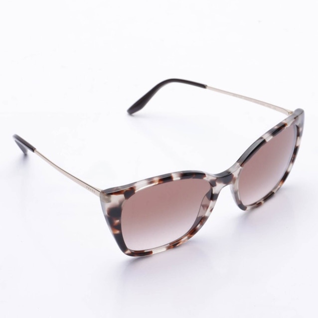 Image 1 of SPR12X Sunglasses Brown | Vite EnVogue